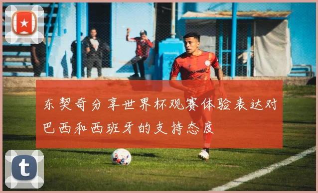 东契奇分享世界杯观赛体验表达对巴西和西班牙的支持态度